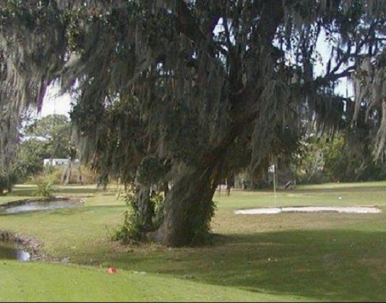 Timber Creek Golf Course