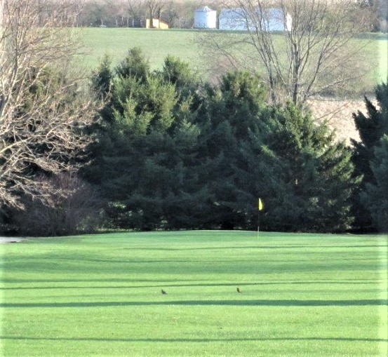 Turtle Greens Golf Course, CLOSED 2018