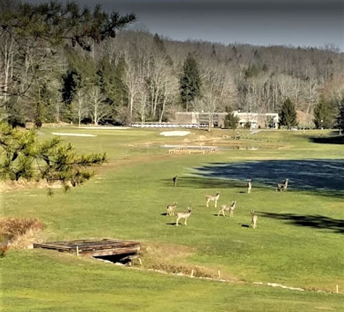 Twin Falls State Park Golf Course