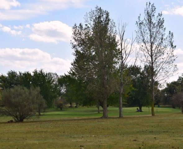 Golf Course Photo, Twin Oaks Golf Course, Saint Johns, 48879 