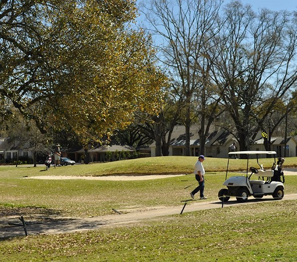 Webb Park Golf Course