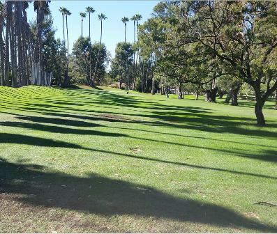 Golf Course Photo, Weddington Golf Course, Studio City, 91604 