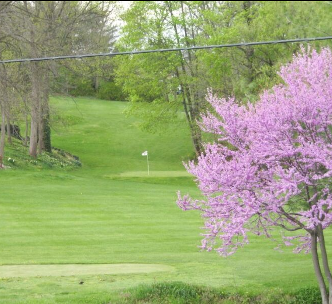 Golf Course Photo, West View Golf Course, CLOSED 2017, Akron, 17501 