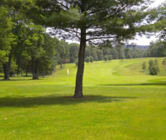 Golf Course Photo, White Pine National Golf Club, Spruce, Michigan, 49747