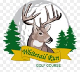 Golf Course Photo, Whitetail Run Golf Course, Wadena, Minnesota, 56482