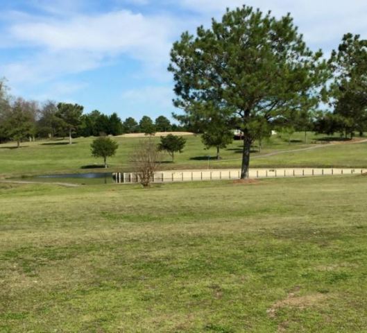 Willow Brook Golf Course, Albertville, Alabama,  - Golf Course Photo